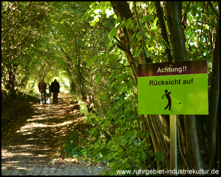 Im grünen Blättertunnel über den Golfplatz