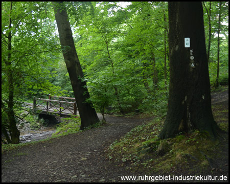 Brücke über den Deininghauser Bach (Blick zurück)