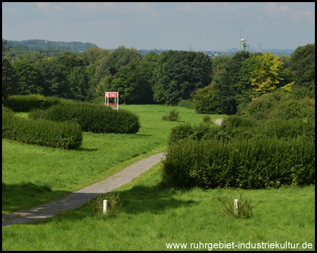 Büsche und Pfosten markieren alte Bahnverläufe und Hindernisse