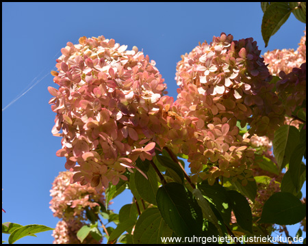 Bunte, spätsommerliche Farben