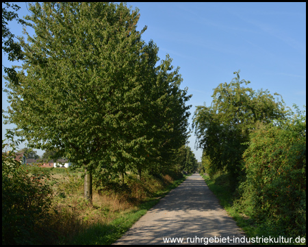 HOAG-Trasse zwischen Holten und Wehofen