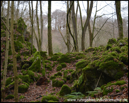 Bemooste Felsen an der Feldhofhöhle