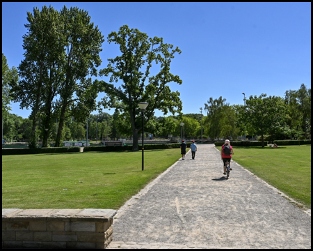 Bäume in einer großen Wiese und Radfahrerin