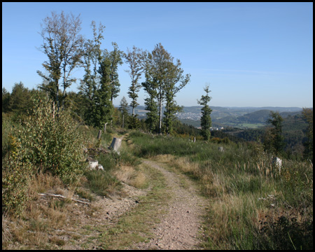 Wanderweg A3: Kammweg mit Blick über das Lennetal