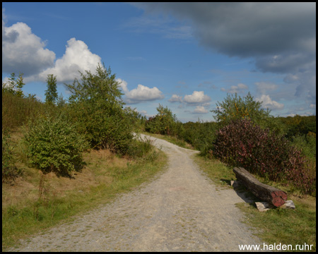 Baumstamm-Bank am Weg zum Gipfel