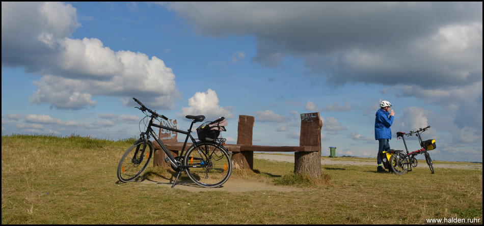 Rastmöglichkeit auf dem Gipfel der Halde Hühnerheide an einer der charakteristischen Holzstamm-Bänke