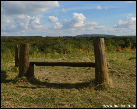 Blick von einer Bank in Richtung Halde Haniel