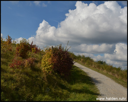 Halde Hühnerheide