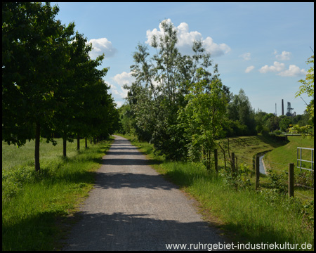 Lanferbach als treuer Begleiter (Blick zurück)