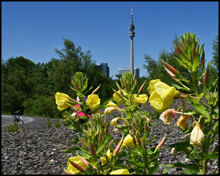 Florianturm Dortmund