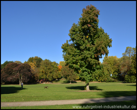 Volkspark Langendreer