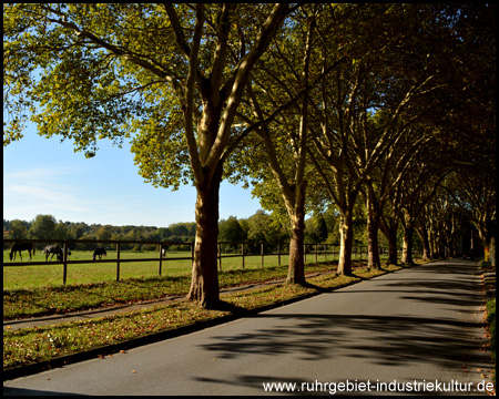 Straße an der Stadtgrenze