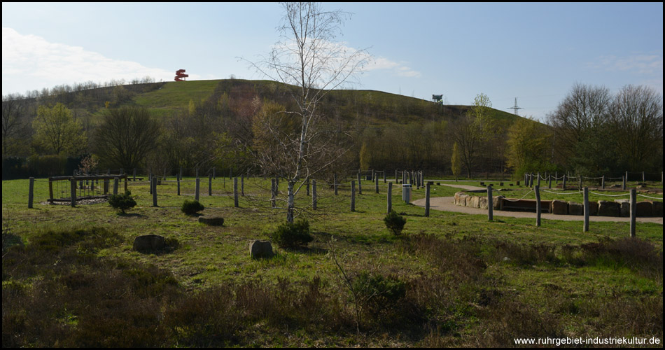 Blick vom Kopf des Gartens auf die Halde Humbert mit ihrem Aussichtsturm 