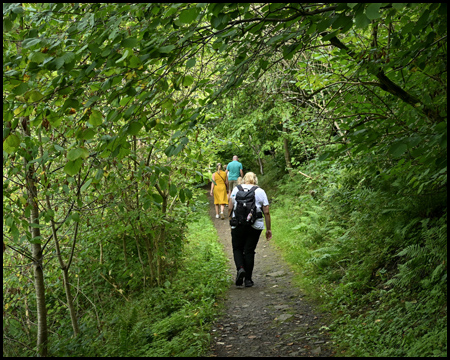 Wanderin auf dem Deilbachsteig an der Ruine Isenburg