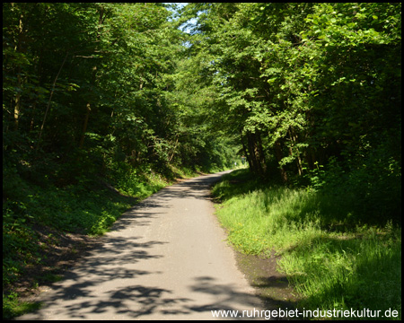 Asphaltierter Radweg auf der Jacobibahn Richtung Hanielhalde