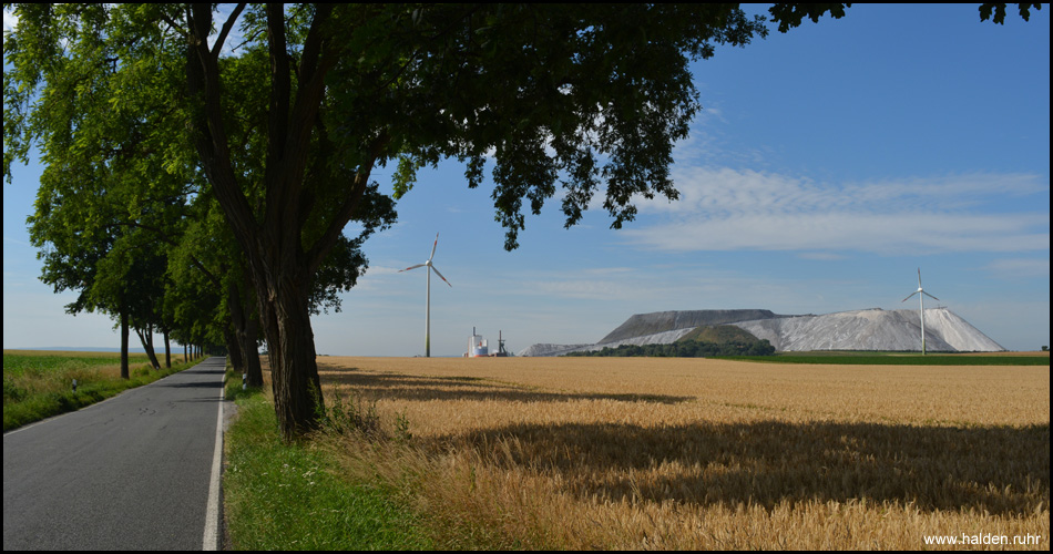 Nebenstraße mit Alleebäumen und bester Aussicht auf die Halde Bokeloh von Osten