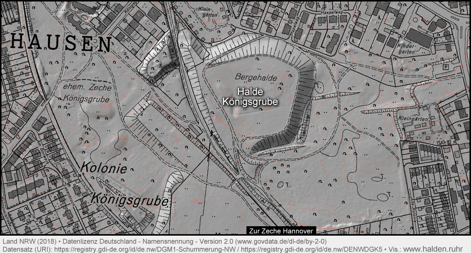 Reliefdarstellung Halde Königsgrube