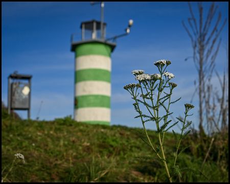 Grün-Weißer Leuchtturm am Kemnader See