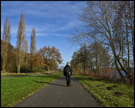 Eine Frau auf einem asphaltierten Weg zwischen herbstlichen Bäumen