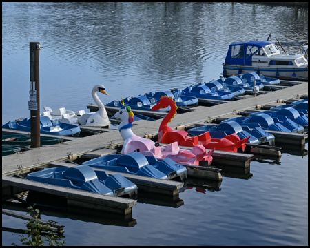 Bootsstege mit Tretbooten. Darunter in Form von Schwänen, Flamingos und Einhörnern