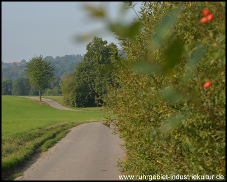 Nebenweg durchs Hügelland