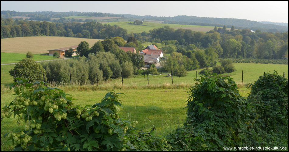 Blick zurück ins Hügelland über das Schuirbach-Tal