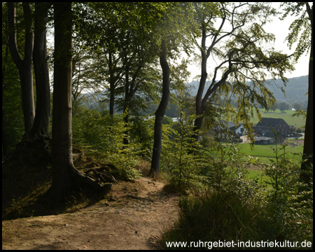 Am nächsten Wald geht der Blick ins Ruhrtal