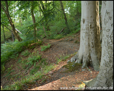 Steig-Abschnitt zwischen Kettwig und Werden