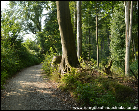 Der Weg führt weiter bergauf