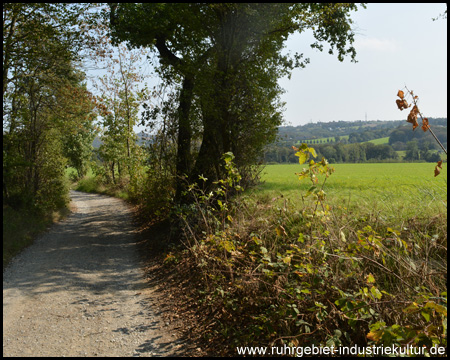 Ruhiger Weg mit Aussichten Richtung Bergisches Land