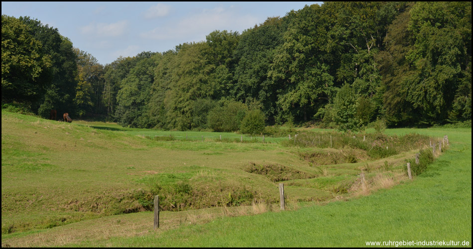 Auch der Römmersbach hat schöne Windungen durch die Weide gebildet