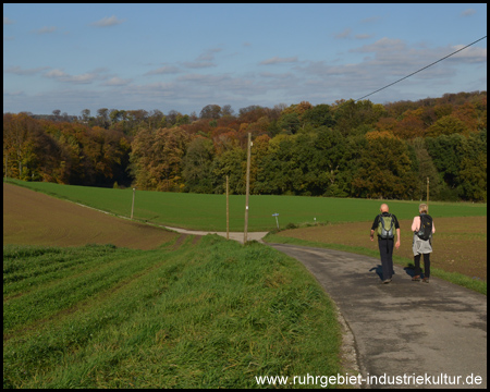 Abstieg ins Tal des Römmersbachs