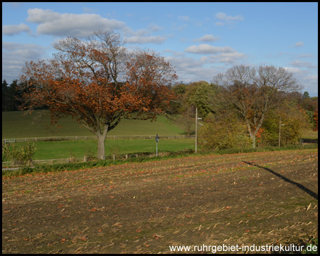 Kettwiger Panoramasteig in Essen