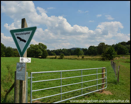 Naturschutzgebiet Kiebitzwiese mit Erläuterung