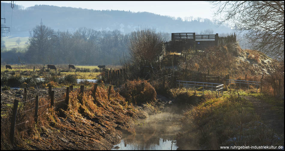 Aussichtshügel am Radweg mit Blick auf die Kiebitzwiese