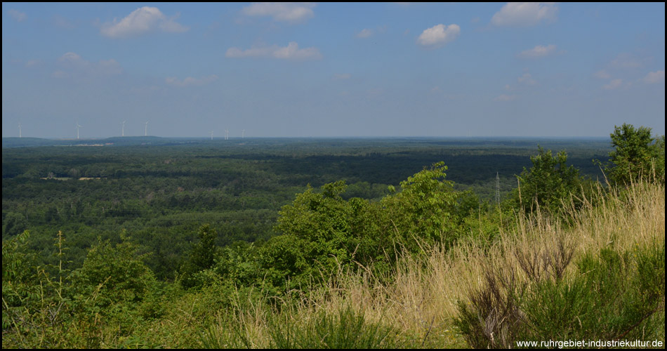 heller Heide von der Halde Haniel gesehen: Dichte Waldlandschaft zwischen Bottrop und Dinslaken