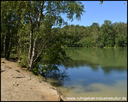 Ufer des ruhigen Heidhofsees in der Kirchheller Heide