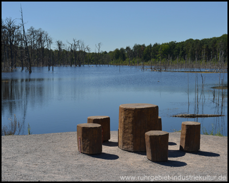 Kleiner Rastplatz am Pfingstsee