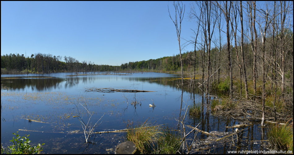 Blick über den Pfingstsee in westlicher Richtung vom Damm