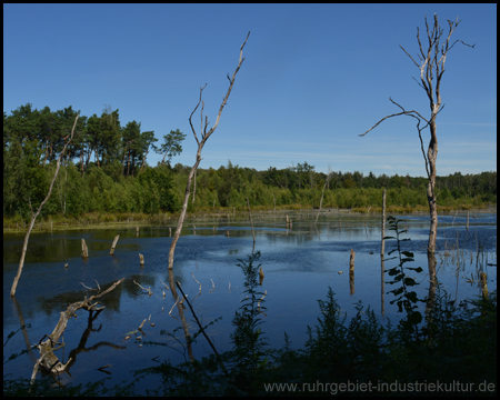 er Weihnachtssee in der Kirchheller Heide