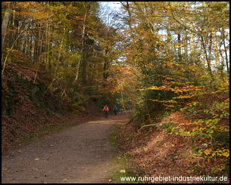 Fortsetzung des Weges zwischen Plessen und Voerde