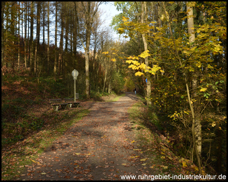 Der Weg schlängelt sich bergauf durch den Wald