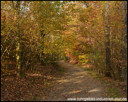 Rad- und Wanderweg auf der alten Kleinbahn Haspe-Breckerfeld