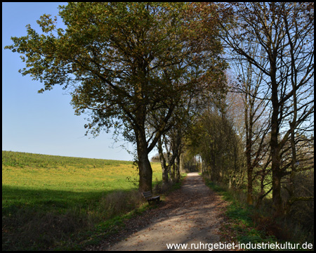 Rad- und Wanderweg auf der alten Kleinbahn Haspe-Breckerfeld