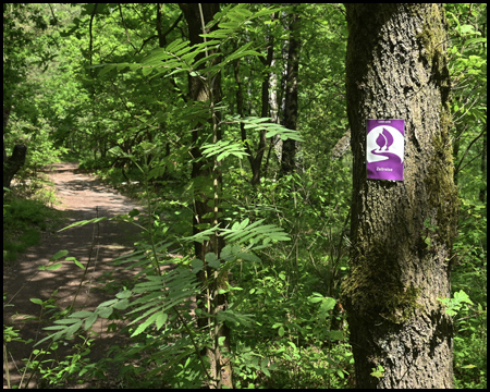 Landstreifer in der Kleinen Dingdener Heide