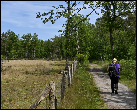 Wanderin in der Dingdener Heide