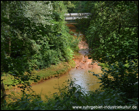 Ein Blick durch die Bäume zum Flüsschen