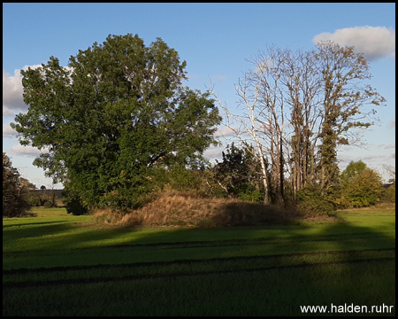 Bewachsene Kleinhalden inmitten von Feldern