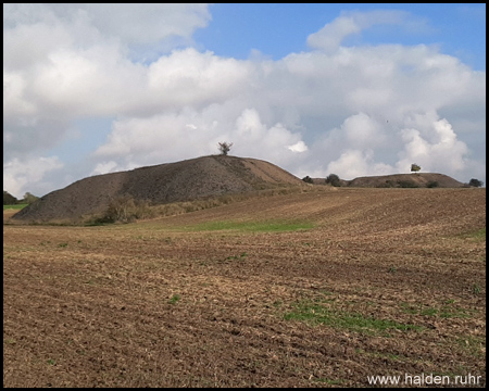 Kleinhalden zwischen Hettstedt und Welfesholz