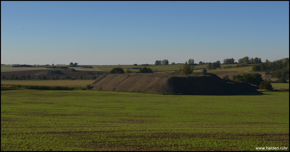 Blick von der Landstraße L72 auf das Kleinhalden-Gebiet im Hintergrund und einer "normalen" Bergehalde im Vordergrund